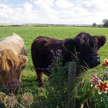 Carrig Lios Bed & Breakfast Thurso Luaran gambar